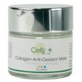 Collagen Anti-Oxidant Mask